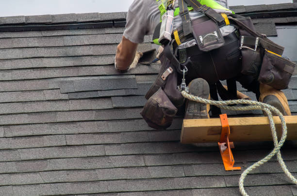 Best Roof Maintenance Services  in North Les, AK
