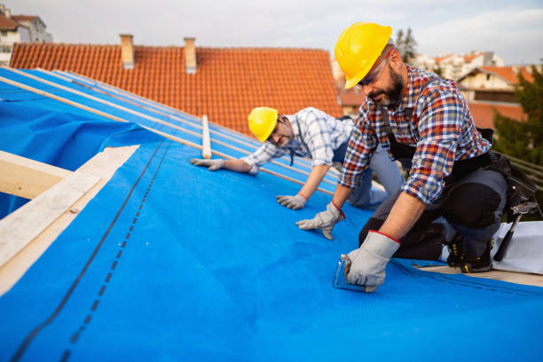 Best Sealant for Roof  in North Les, AK