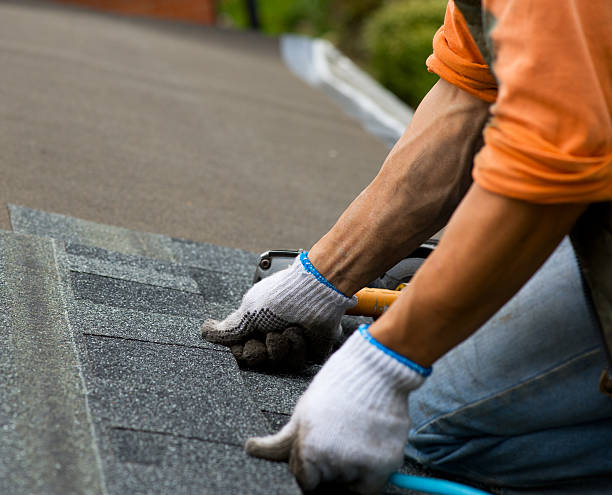 Best Roof Inspection Near Me  in North Les, AK