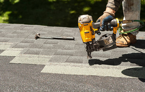 Best Local Roofing Companies  in North Les, AK