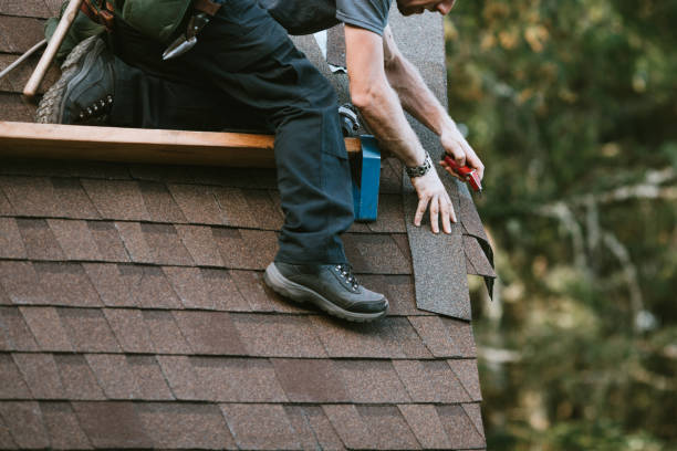 Best Residential Roof Replacement  in North Les, AK